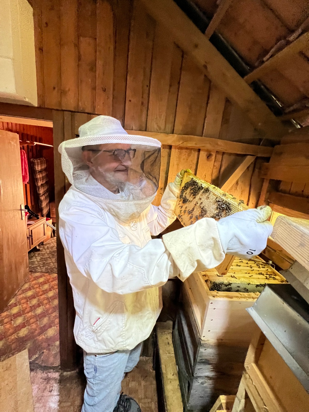Bienenschätze bienenschätze startseite 17 1762372342